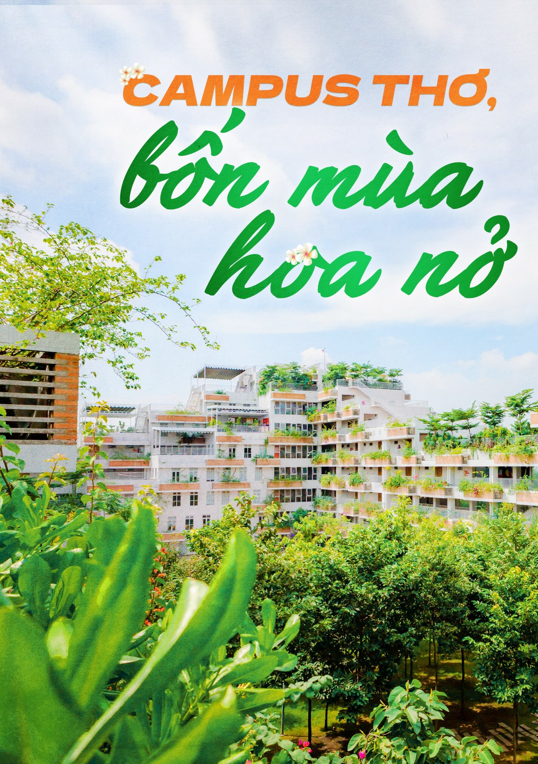 Campus thơ, bốn mùa hoa nở